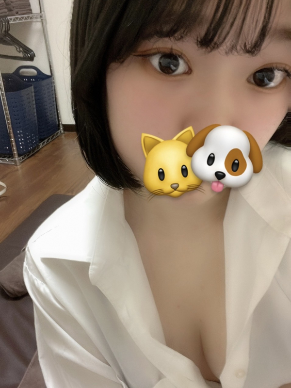 新横浜shirt きき