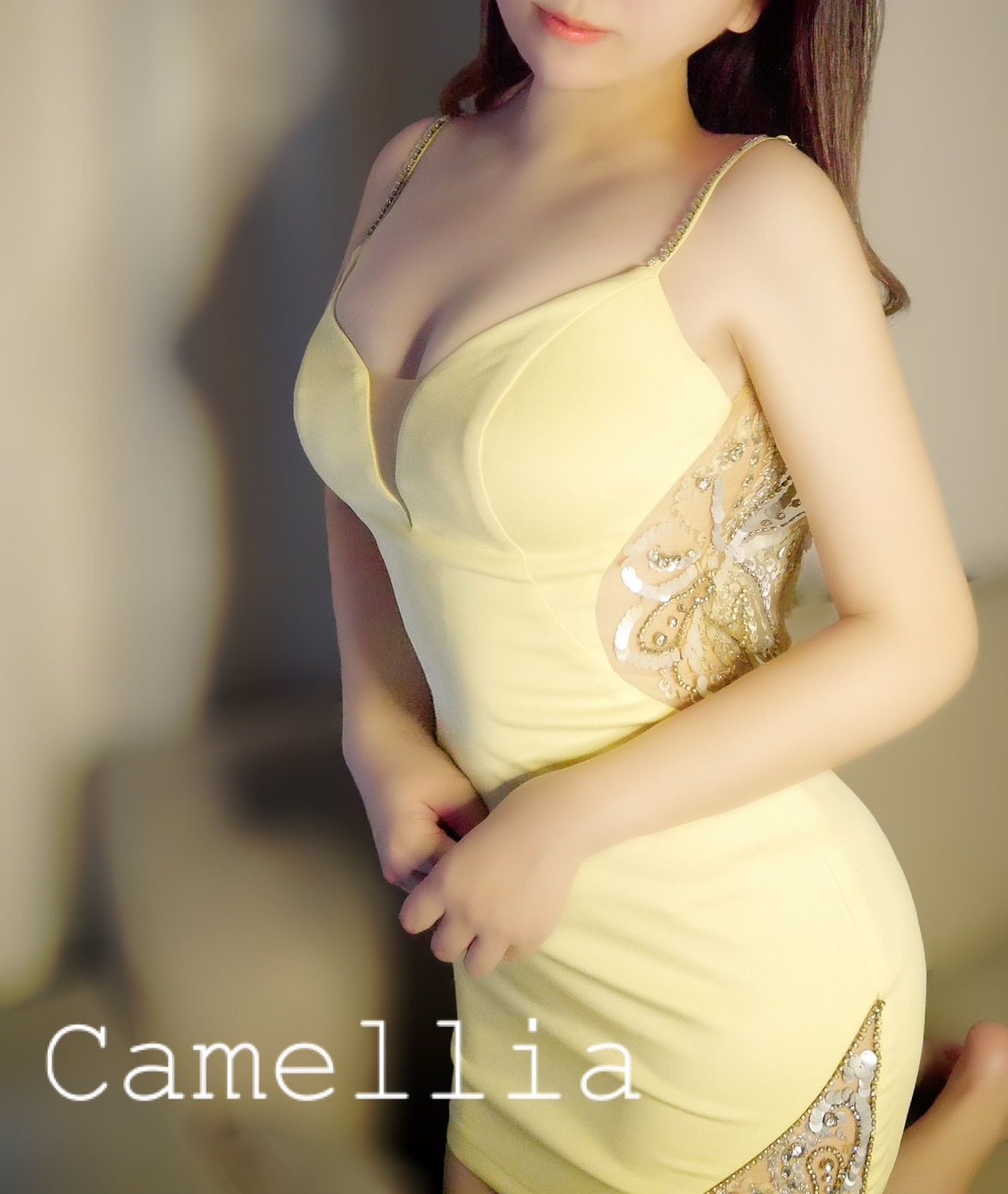 Camellia (カメリア) 博多 福岡・博多 はる